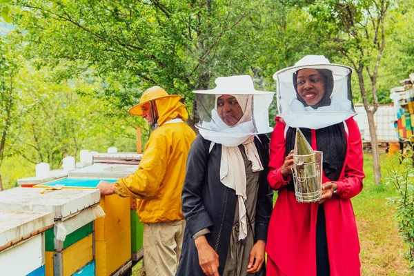 Arab Investors Checking Quality Production Honey Large Honey Farm — Φωτογραφία Αρχείου