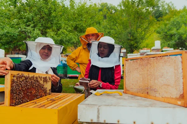 Business Partners Experienced Senior Beekeeper Checking Quality Production Honey Large — 图库照片