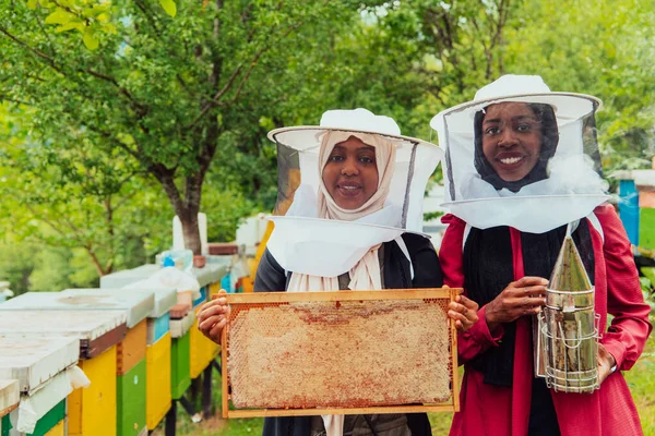Arab Investors Checking Quality Production Honey Large Honey Farm — Stockfoto
