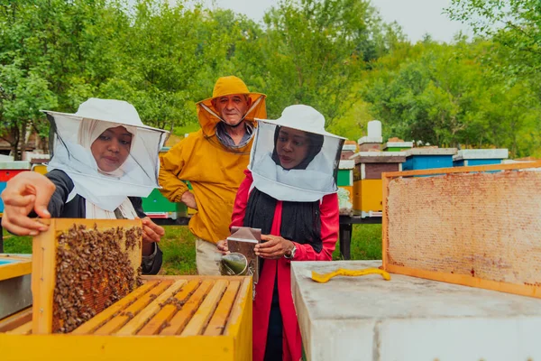 大規模な養蜂場で蜂蜜の品質と生産を確認する経験豊富な上級養蜂家を持つビジネスパートナー — ストック写真
