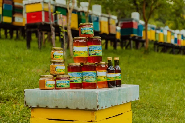 Naturalne Produkty Miodu Sfotografowane Farmie Miodu Pyłek Miód Różne Produkty — Zdjęcie stockowe