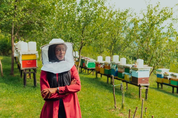 Porträtt Arabisk Investerare Belägen Stor Honungsgård Investeringar Småföretag — Stockfoto