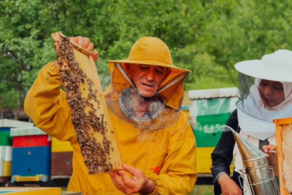経験豊富な上級養蜂家を持つアフリカ系アメリカ人ムスリム女性大規模なミツバチ農場での蜂蜜の品質と生産をチェック — ストック写真