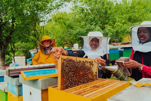 Ділові Партнери Досвідченим Старшим Бджолярем Перевіряють Якість Виробництво Меду Великій — стокове фото