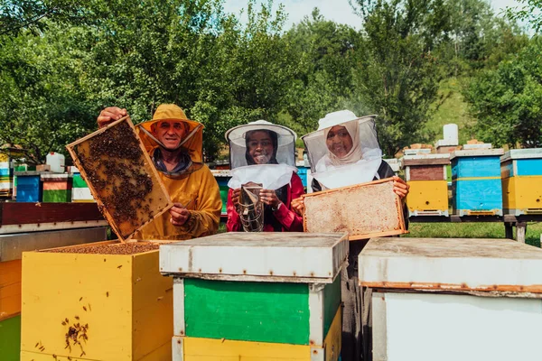 Arab Investors Checking Quality Honey Large Bee Farm Which Have — Fotografia de Stock