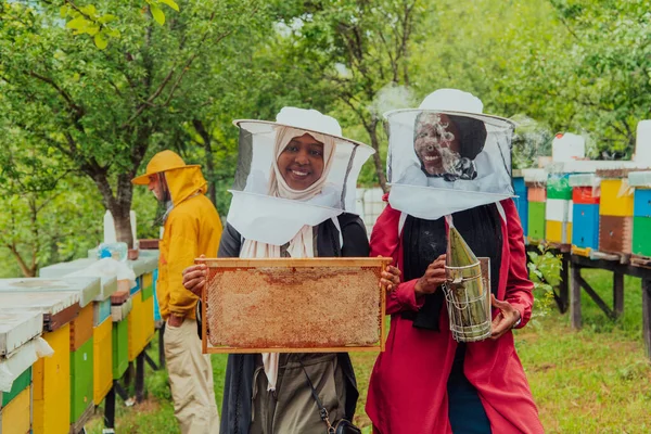 Arab investors checking the quality and production of honey on a large honey farm