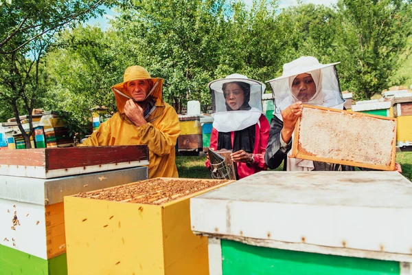 Арабські Інвестори Перевіряють Якість Меду Великій Бджолиній Фермі Якій Вони — стокове фото