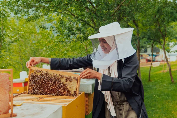 彼女が投資した大規模な蜂の農場で蜂蜜の品質をチェックするヒジャーブのアラビア人女性 — ストック写真