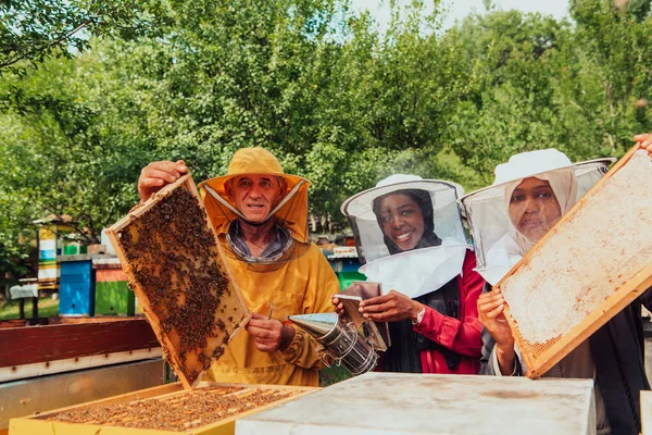 Arab Investors Checking Quality Honey Large Bee Farm Which Have — Stock fotografie