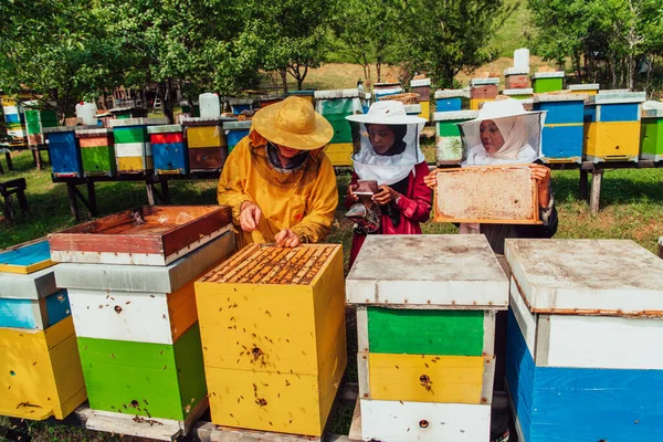 Arab Investors Checking Quality Honey Large Bee Farm Which Have — Fotografia de Stock