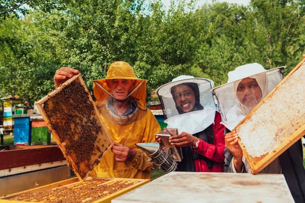 Arab Investors Checking Quality Honey Large Bee Farm Which Have — стоковое фото