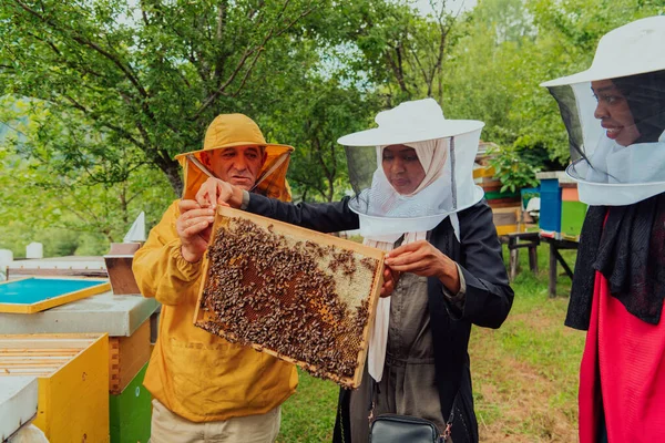 Business Partners Experienced Senior Beekeeper Checking Quality Production Honey Large — стоковое фото