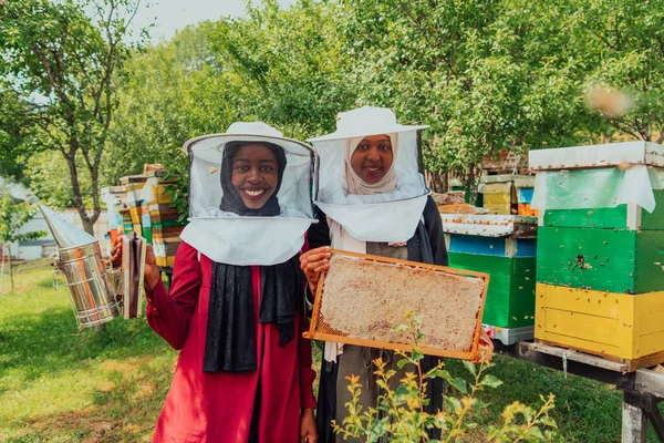 Arabiska Investerare Kontrollerar Kvaliteten Honung Stor Honungsgård Där Investerade Sina — Stockfoto