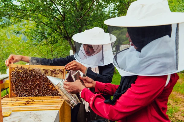 Arabische Investoren Überprüfen Die Qualität Des Honigs Auf Dem Hof — Stockfoto