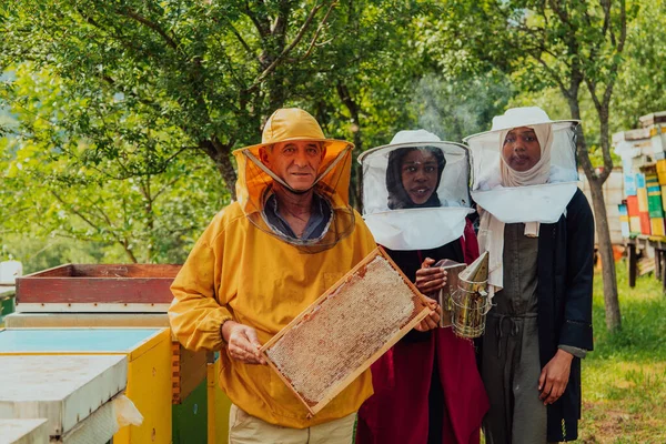 Арабские Женщины Инвесторы Опытным Старшим Пчеловодом Проверяют Качество Производство Меда — стоковое фото