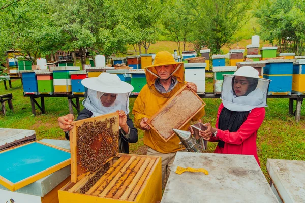 Business Partners Experienced Senior Beekeeper Checking Quality Production Honey Large — Stock fotografie