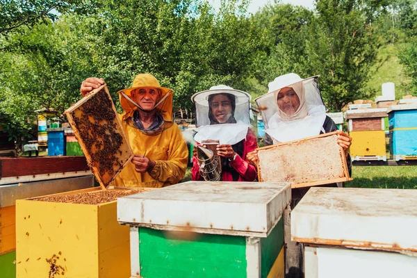 Arabscy Inwestorzy Sprawdzający Jakość Miodu Dużej Hodowli Pszczół Którą Zainwestowali — Zdjęcie stockowe