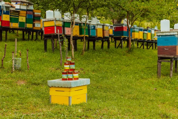 Natural Honey Products Photographed Honey Farm Pollen Honey Various Honey — Foto de Stock