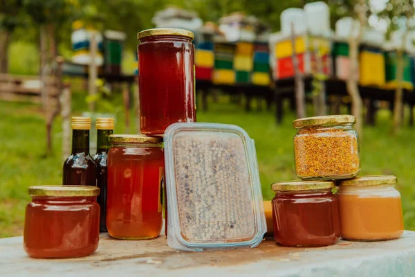 Natural Honey Products Photographed Honey Farm Pollen Honey Various Honey — стоковое фото