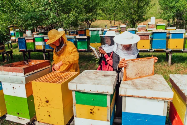 Arab Investors Checking Quality Honey Large Bee Farm Which Have — Foto de Stock