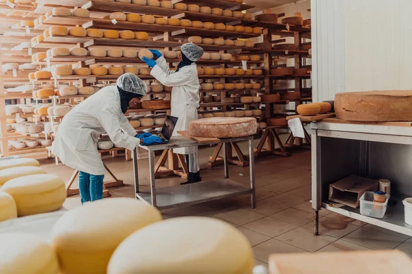 Muslim Business Partners Check Quality Cheese Modern Industry — Stok fotoğraf