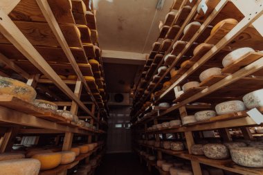 A large storehouse of manufactured cheese standing on the shelves ready to be transported to markets. 