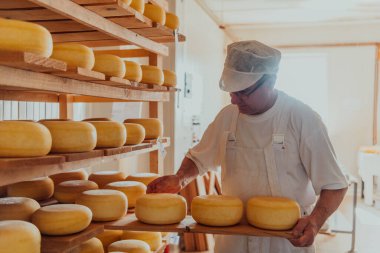 A worker at a cheese factory sorting freshly processed cheese on drying shelves. 