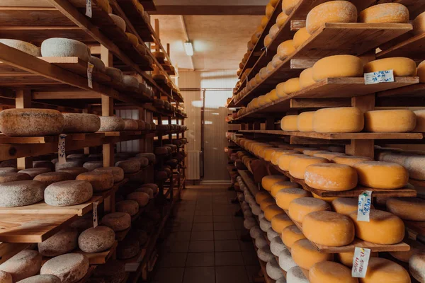Large Storehouse Manufactured Cheese Standing Shelves Ready Transported Markets — Stok fotoğraf