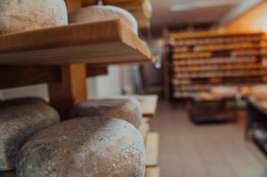 A large storehouse of manufactured cheese standing on the shelves ready to be transported to markets. 