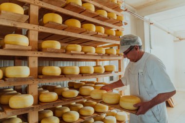 A worker at a cheese factory sorting freshly processed cheese on drying shelves. 