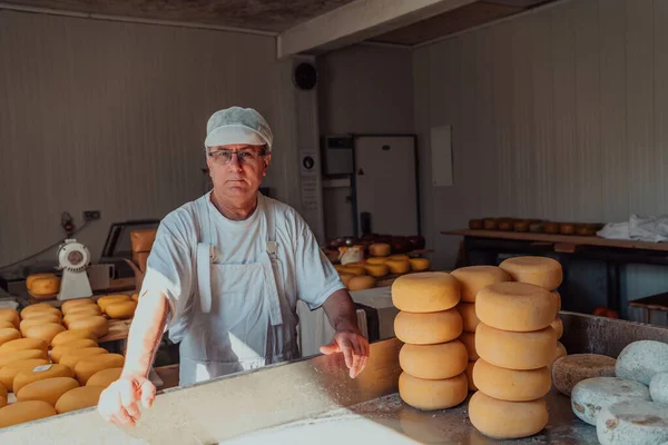 Cheese Maker Sorting Freshly Processed Pieces Cheese Preparing Them Further — Stok fotoğraf
