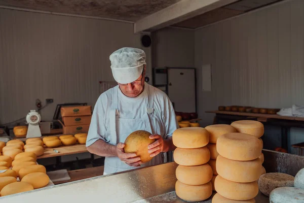 Cheese Maker Sorting Freshly Processed Pieces Cheese Preparing Them Further — Stock fotografie