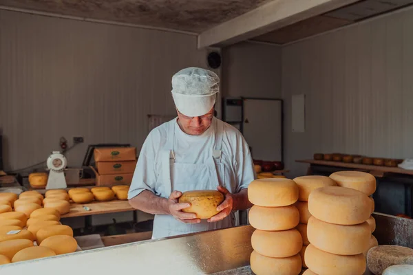 Peynir Üreticisi Taze Işlenmiş Peynir Parçalarını Ayırıyor Onları Daha Sonraki — Stok fotoğraf