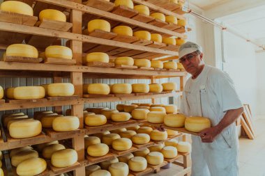 A worker at a cheese factory sorting freshly processed cheese on drying shelves. 