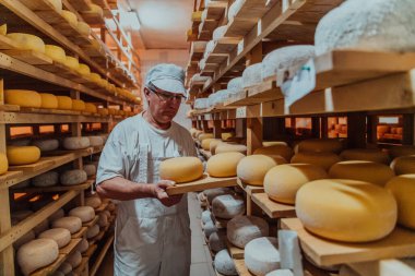 A worker at a cheese factory sorting freshly processed cheese on drying shelves. 