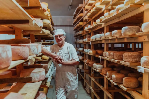 Een Arbeider Een Kaasfabriek Sorteert Vers Verwerkte Kaas Droogrekenen — Stockfoto