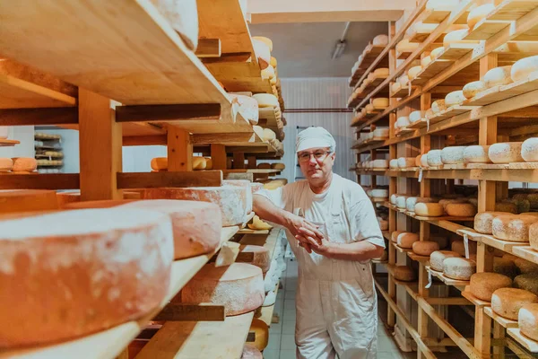 Worker Cheese Factory Sorting Freshly Processed Cheese Drying Shelves — Stock fotografie