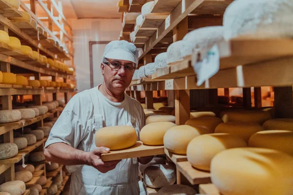 Worker Cheese Factory Sorting Freshly Processed Cheese Drying Shelves — Stock fotografie
