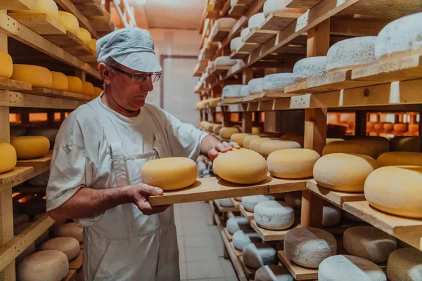 A worker at a cheese factory sorting freshly processed cheese on drying shelves.