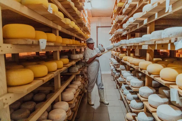 A worker at a cheese factory sorting freshly processed cheese on drying shelves.