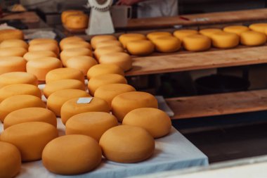 A large storehouse of manufactured cheese standing on the shelves ready to be transported to markets. 