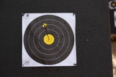 Arrow in the center of the target. The concept of success and achievement of the goal. 