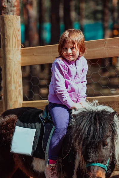 Pequena Menina Feliz Divertindo Parque Enquanto Monta Pequenos Cavalos — Fotografia de Stock