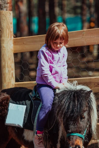 Pequena Menina Feliz Divertindo Parque Enquanto Monta Pequenos Cavalos — Fotografia de Stock