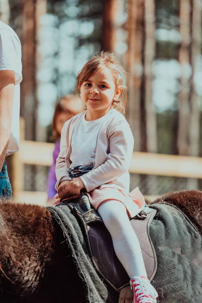 Little Happy Girl Having Fun Park While Riding Small Horses — Foto Stock