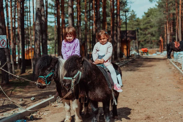 Två Små Flickor Som Roar Sig Parken Medan Rider Hästar — Stockfoto