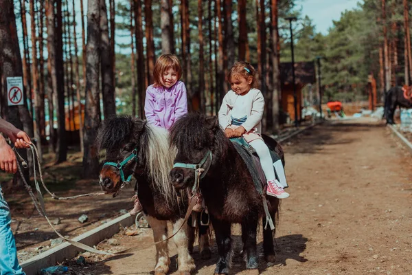 Two Little Girls Having Fun Park While Riding Horses — Stockfoto