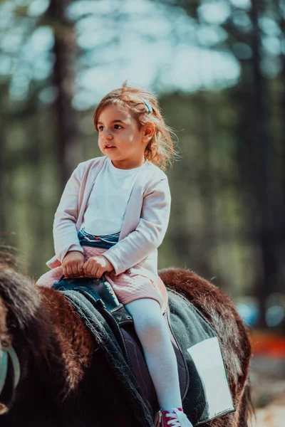 小女孩骑着小马在公园里玩得很开心 — 图库照片