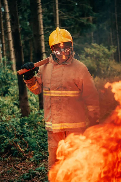 Bombeiro Trabalho Bombeiro Áreas Florestais Perigosas Cercadas Por Fogo Forte — Fotografia de Stock
