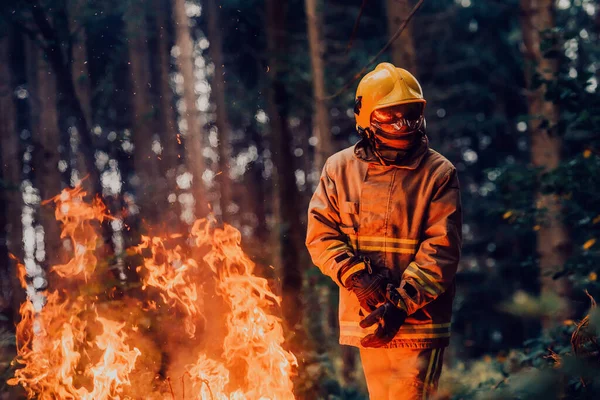 Brandweerman Aan Het Werk Brandweerman Gevaarlijke Bosgebieden Omringd Door Sterke — Stockfoto